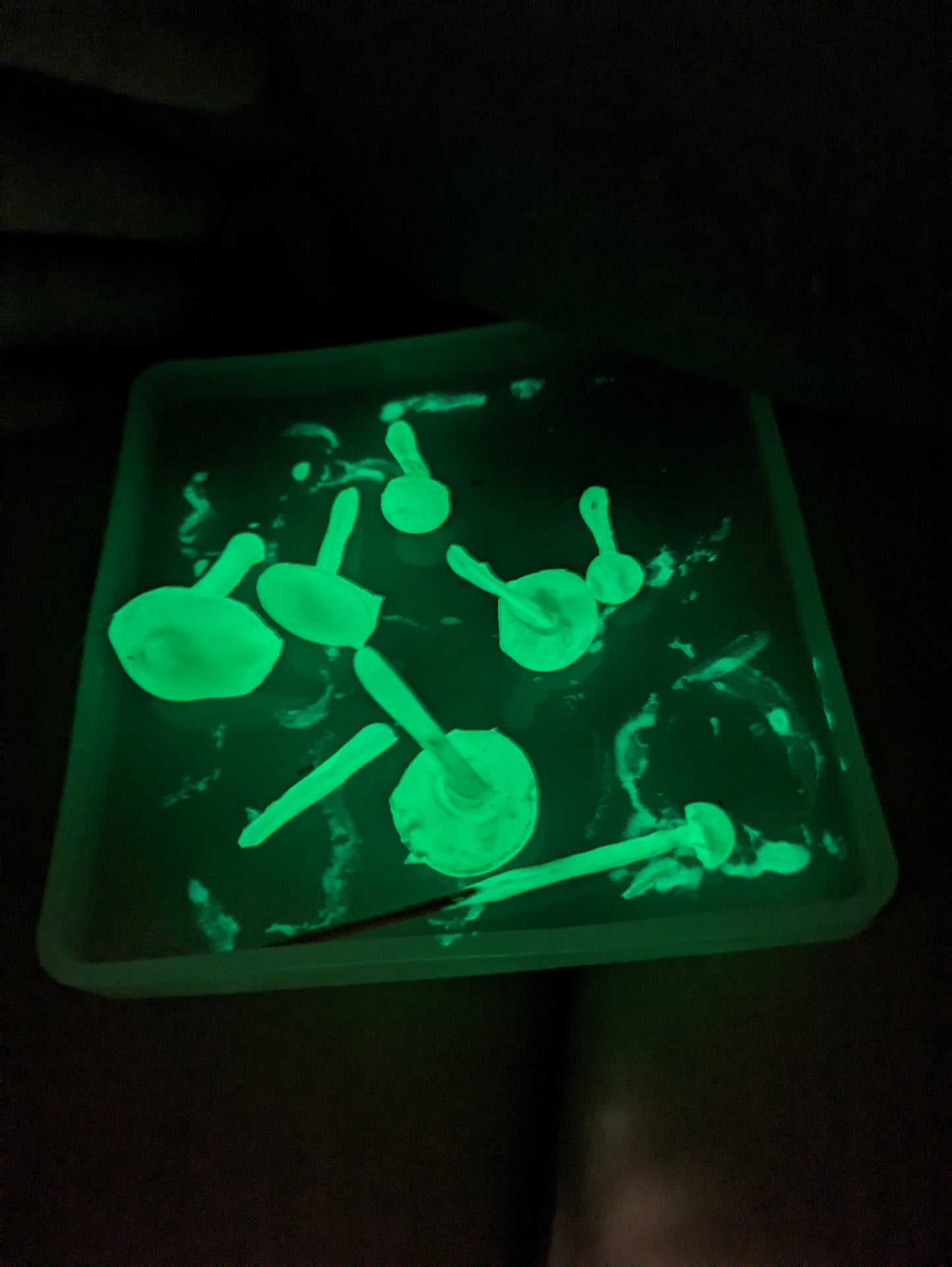 Bioluminescent Mushroom - Glow in the dark - Knick Knack