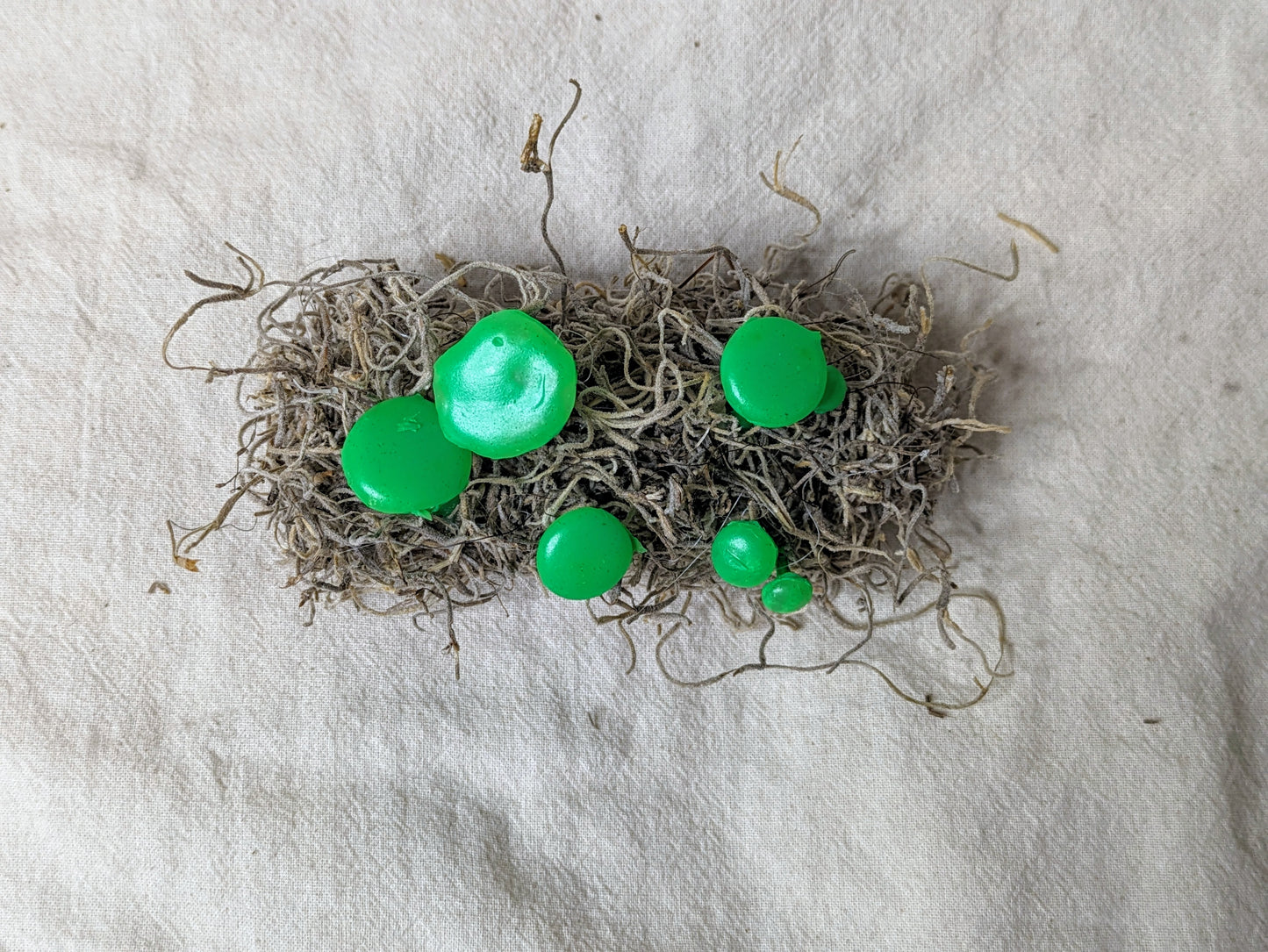 Bioluminescent Mushroom - Glow in the dark - Knick Knack