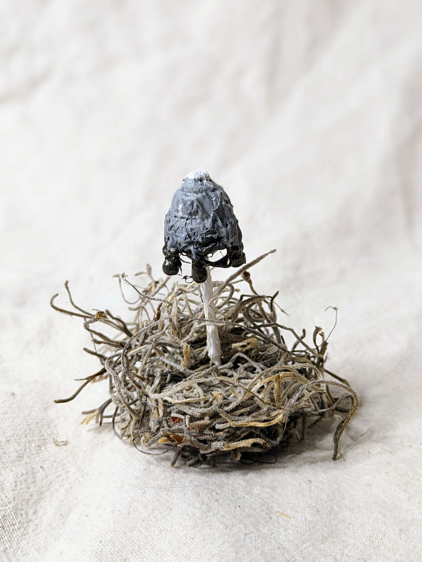 Inky Cap Knick Knack - Old Man of the Woods