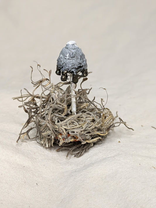 Inky Cap Knick Knack - Old Man of the Woods