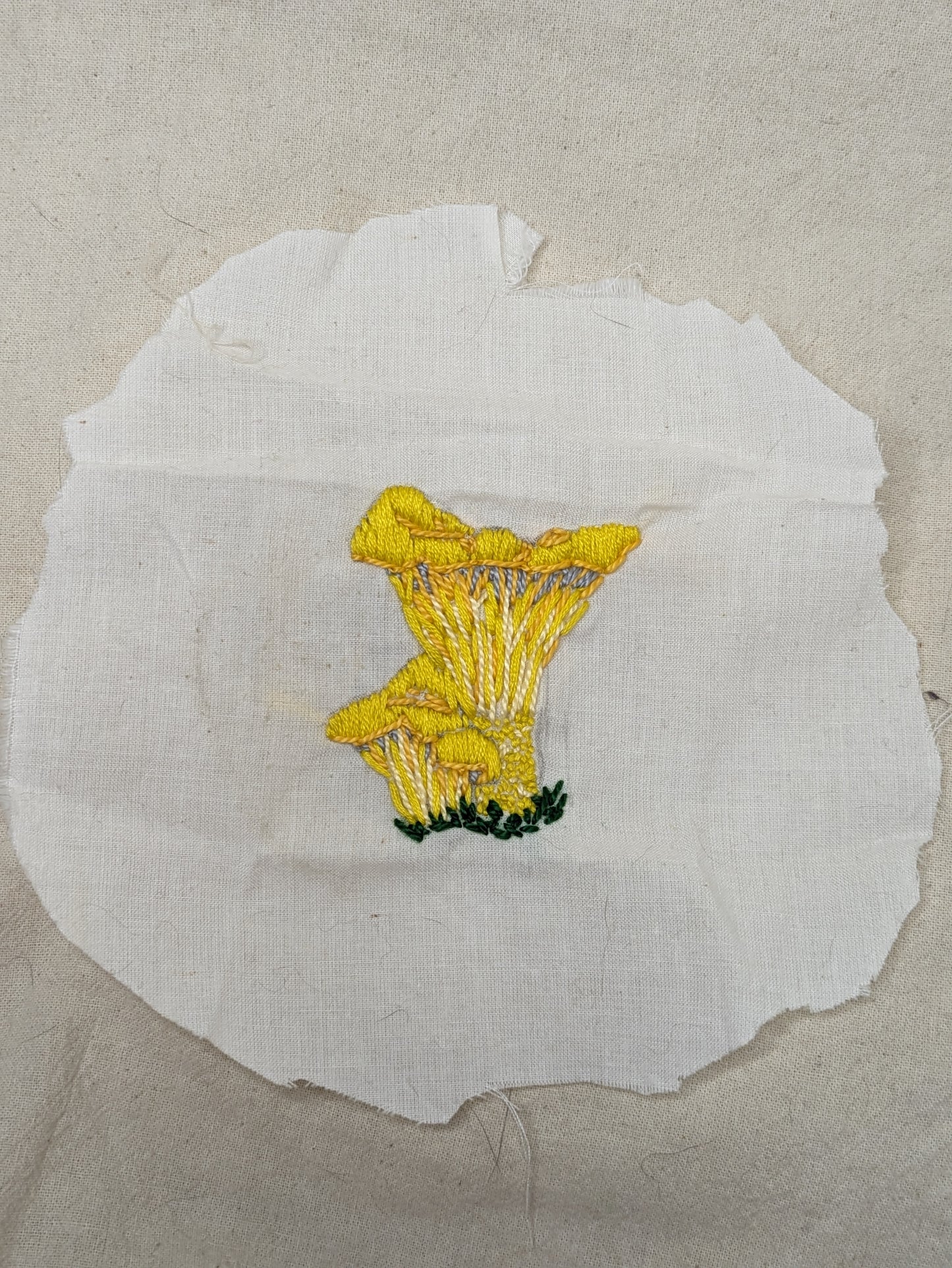 Mushroom Appliques, wide variety - original designs - hand embroidered | chanterelle, veiled, stinkhorn, pink, turkey tail, lion's mane, chicken of the woods, cup, webbed