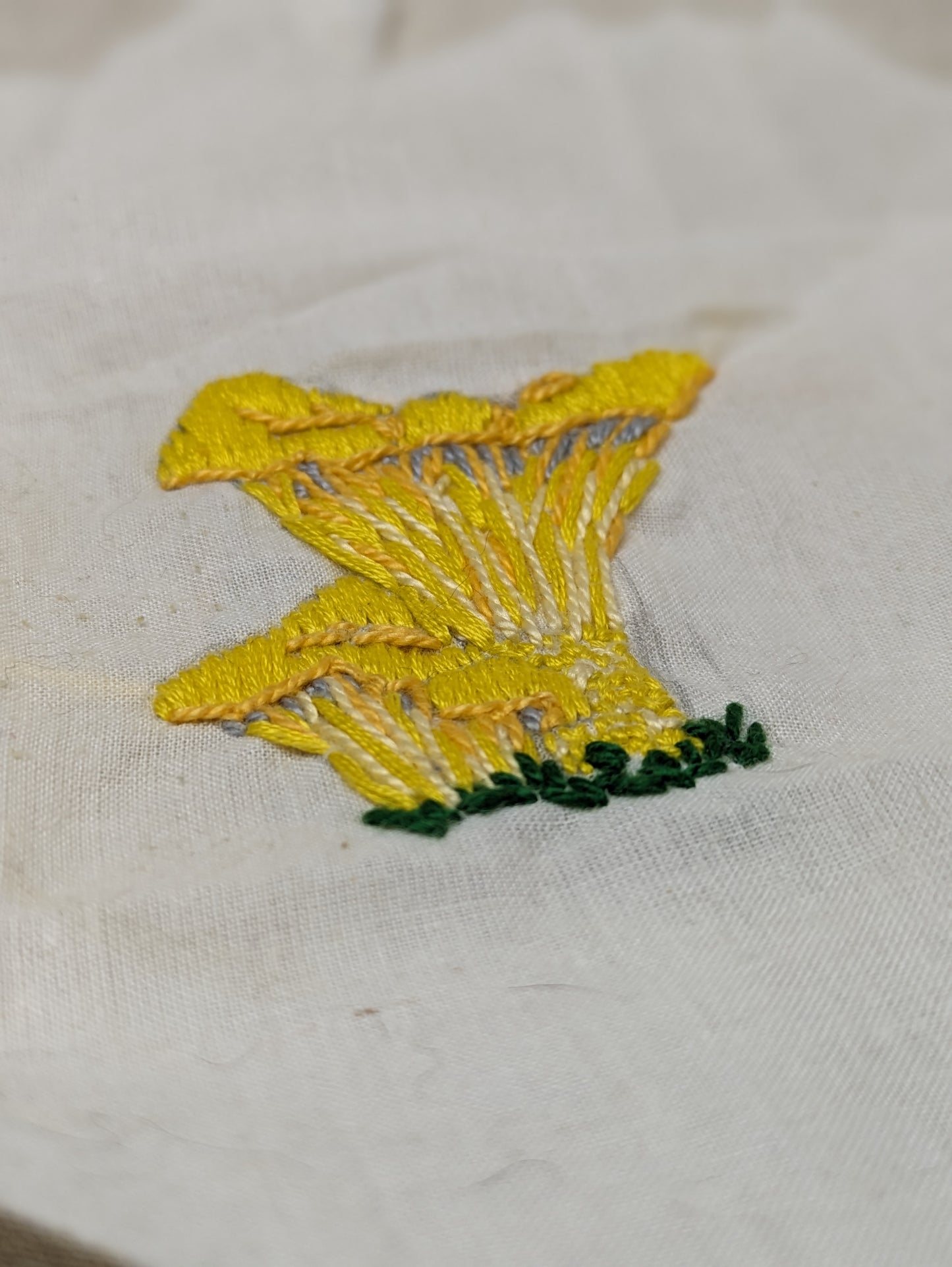Mushroom Appliques, wide variety - original designs - hand embroidered | chanterelle, veiled, stinkhorn, pink, turkey tail, lion's mane, chicken of the woods, cup, webbed