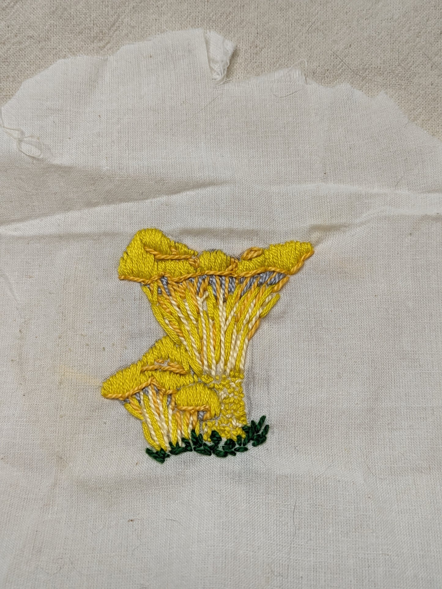 Mushroom Appliques, wide variety - original designs - hand embroidered | chanterelle, veiled, stinkhorn, pink, turkey tail, lion's mane, chicken of the woods, cup, webbed